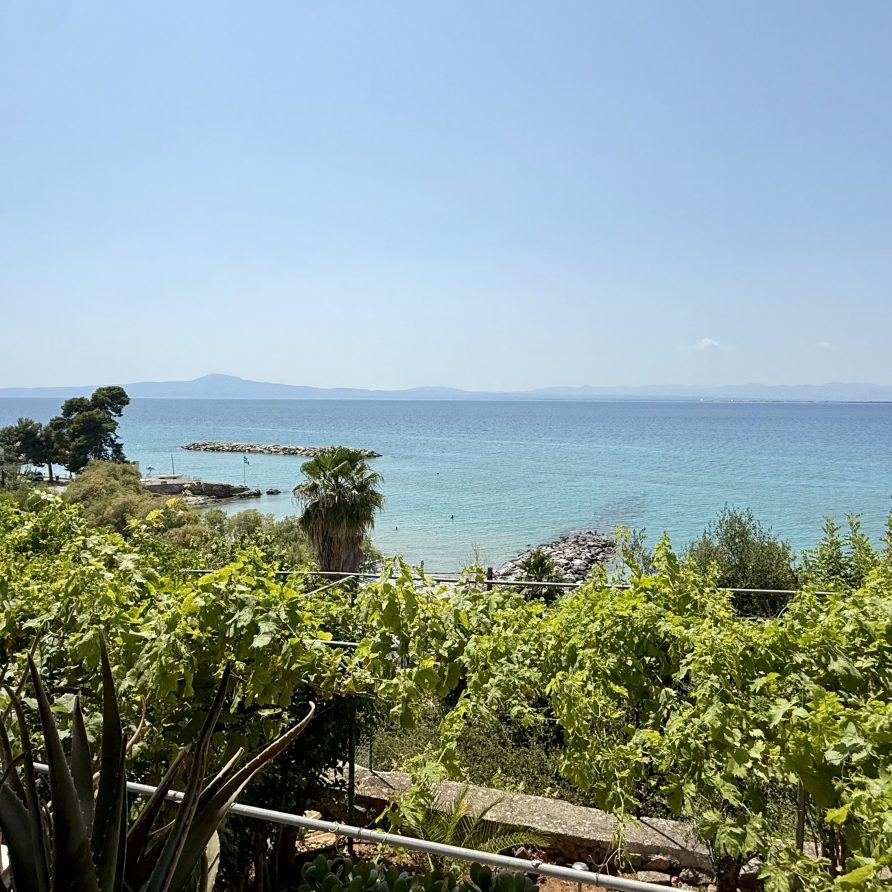 Ενοικιαζόμενο διαμέρισμα Brisa del Mar για διακοπές στην Μίκρα Μαντινεία Airbnb Εταιρεία Διαχείρισης Καταλυμάτων Perla Homes