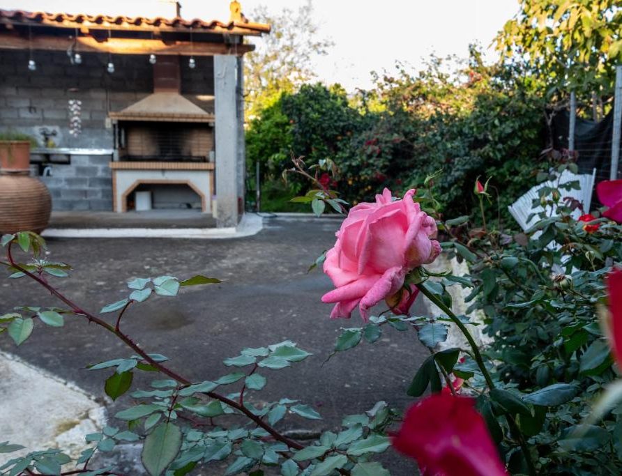 Antreas House Apartment Ενοικιαζόμενο κατάλυμα Βαλύρα Μεσσηνίας Airbnb Εταιρεία Διαχείρισης Καταλυμάτων Perla Homes